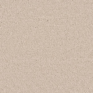 Dreamweaver Carpet East Hampton Ivory Carpet 2550_730