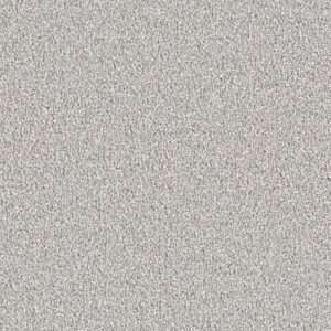 Dreamweaver Carpet East Hampton Dove Carpet 2550_800