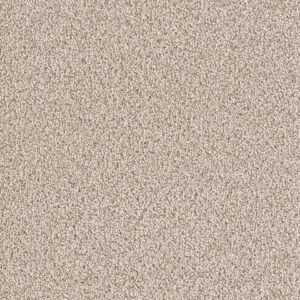 Dreamweaver Carpet East Hampton Linen Carpet 2550_824