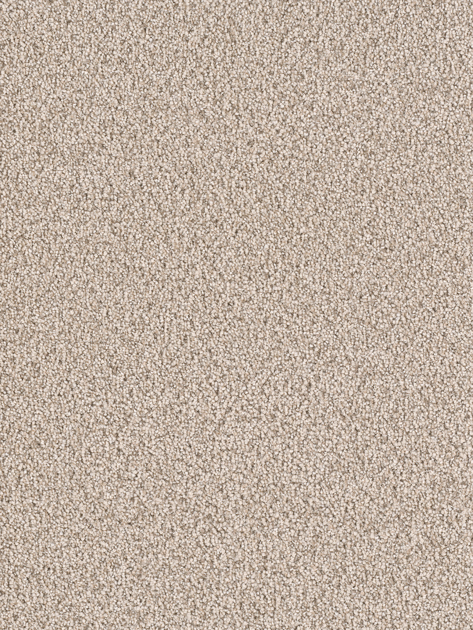 Dreamweaver Carpet East Hampton Linen Carpet 2550_824