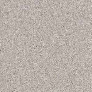 Dreamweaver Carpet East Hampton Silver Lining Carpet 2550_830