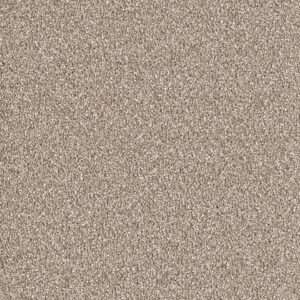 Dreamweaver Carpet East Hampton Acorn Carpet 2550_858