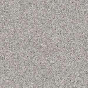 Dreamweaver Carpet East Hampton Chrome Carpet 2550_927
