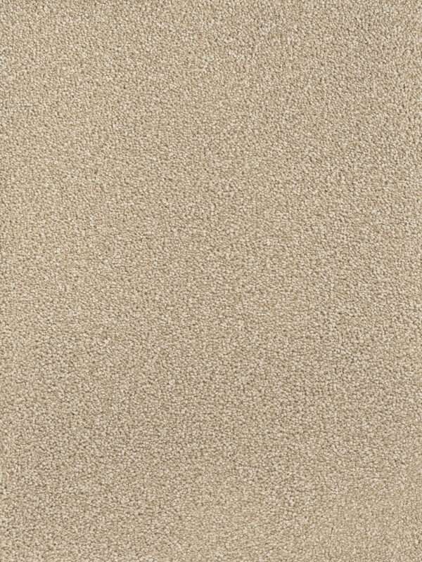 Dreamweaver Carpet Montauk Cashew Carpet 2560_530