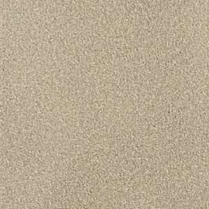 Dreamweaver Carpet Montauk Sawgrass Carpet 2560_701