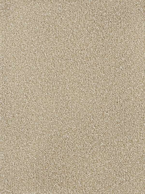 Dreamweaver Carpet Montauk Sawgrass Carpet 2560_701
