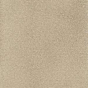Dreamweaver Carpet Montauk Sand Carpet 2560_710