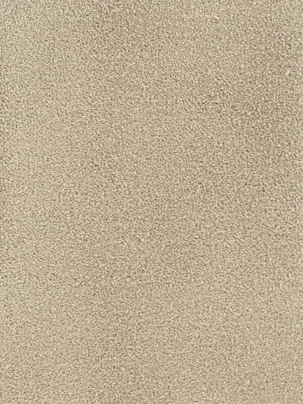 Dreamweaver Carpet Montauk Sand Carpet 2560_710