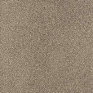Dreamweaver Carpet Montauk Mushroom Carpet 2560_715
