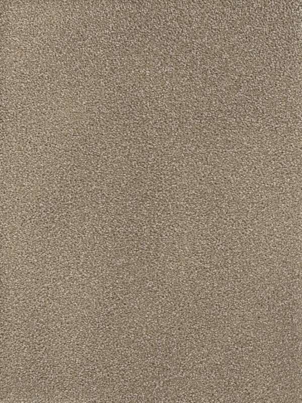 Dreamweaver Carpet Montauk Mushroom Carpet 2560_715