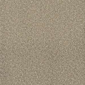 Dreamweaver Carpet Montauk Quail Carpet 2560_725