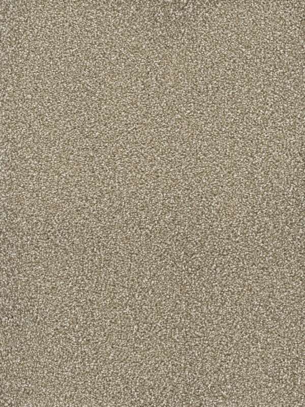 Dreamweaver Carpet Montauk Quail Carpet 2560_725