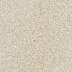 Dreamweaver Carpet Montauk Ivory Carpet 2560_730
