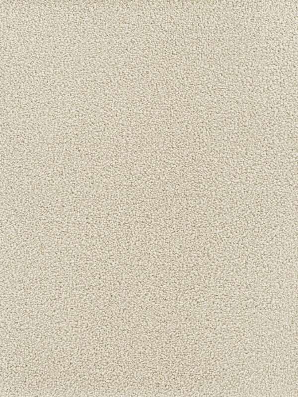 Dreamweaver Carpet Montauk Ivory Carpet 2560_730