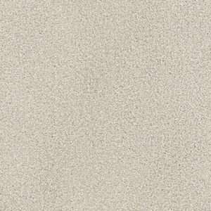 Dreamweaver Carpet Montauk Parchment Carpet 2560_744