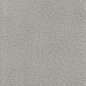 Dreamweaver Carpet Montauk Dove Carpet 2560_800