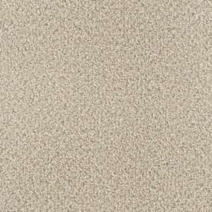 Dreamweaver Carpet Montauk Linen Carpet 2560_824