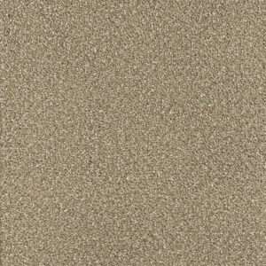 Dreamweaver Carpet Montauk Acorn Carpet 2560_858