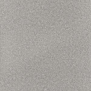 Dreamweaver Carpet Montauk Chrome Carpet 2560_927