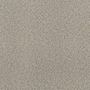 Dreamweaver Carpet Montauk Ash Carpet 2560_945