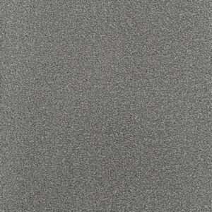 Dreamweaver Carpet Montauk Armor Carpet 2560_968