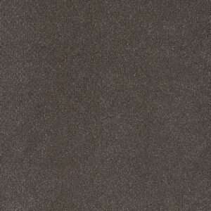 Dreamweaver Carpet Palmetto II Bear Paw Carpet 2740_2064