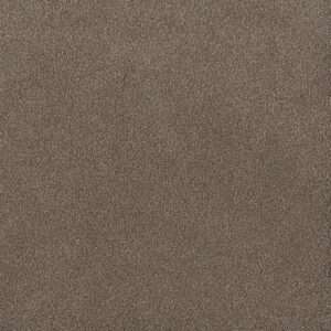 Dreamweaver Carpet Palmetto II Eagle Crest Carpet 2740_2114