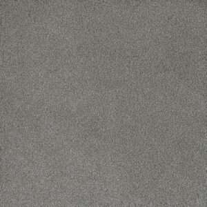 Dreamweaver Carpet Palmetto II Waterlily Carpet 2740_2153