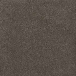 Dreamweaver Carpet Palmetto II Tea Time Carpet 2740_2189