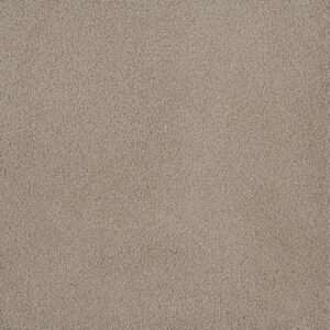 Dreamweaver Carpet Palmetto II Sun Washed Carpet 2740_2235