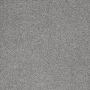 Dreamweaver Carpet Palmetto II Morning Glory Carpet 2740_2252