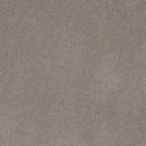 Dreamweaver Carpet Palmetto II Havana Carpet 2740_2275