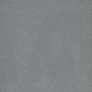 Dreamweaver Carpet Palmetto II Skylight Carpet 2740_2281