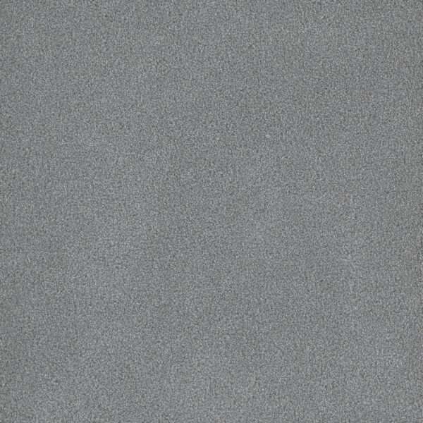 Dreamweaver Carpet Palmetto II Skylight Carpet 2740_2281