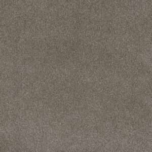 Dreamweaver Carpet Palmetto II Vienna Carpet 2740_2303