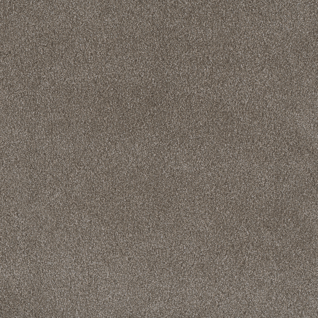 Dreamweaver Carpet Palmetto I Vienna Carpet 2732_2303