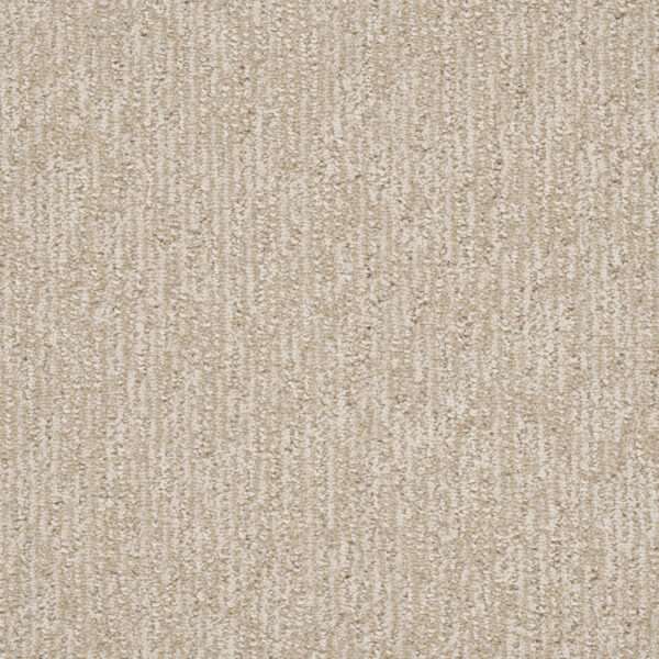 Dreamweaver Carpet Finishing Touch Beach Butter Carpet 2835_2838