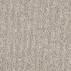 Dreamweaver Carpet Finishing Touch Vintage China Carpet 2835_2851