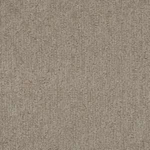 Dreamweaver Carpet Finishing Touch Old Soul Carpet 2835_2870
