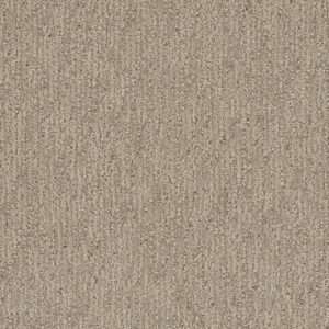 Dreamweaver Carpet Finishing Touch Dulce Carpet 2835_2937