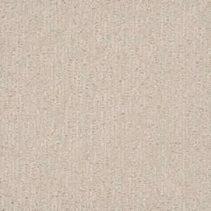 Dreamweaver Carpet Finishing Touch Macaroon Carpet 2835_2951