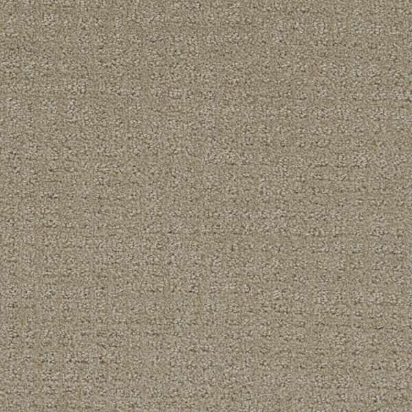Dreamweaver Carpet Common Ground FIELDCREST Carpet 2845_6001