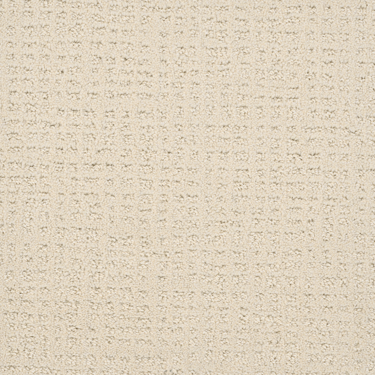 Dreamweaver Carpet Common Ground VANILLA WHIP Carpet 2845_6022
