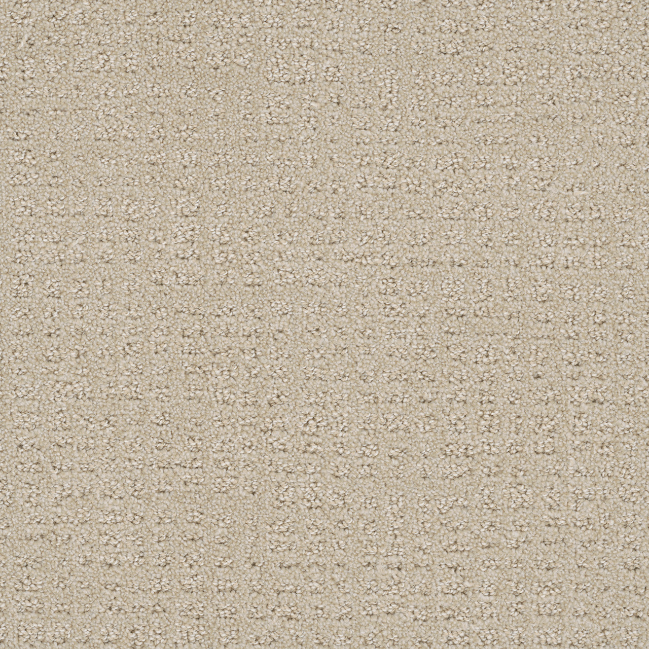 Dreamweaver Carpet Common Ground CHAMPAGNE FIZZ Carpet 2845_6309