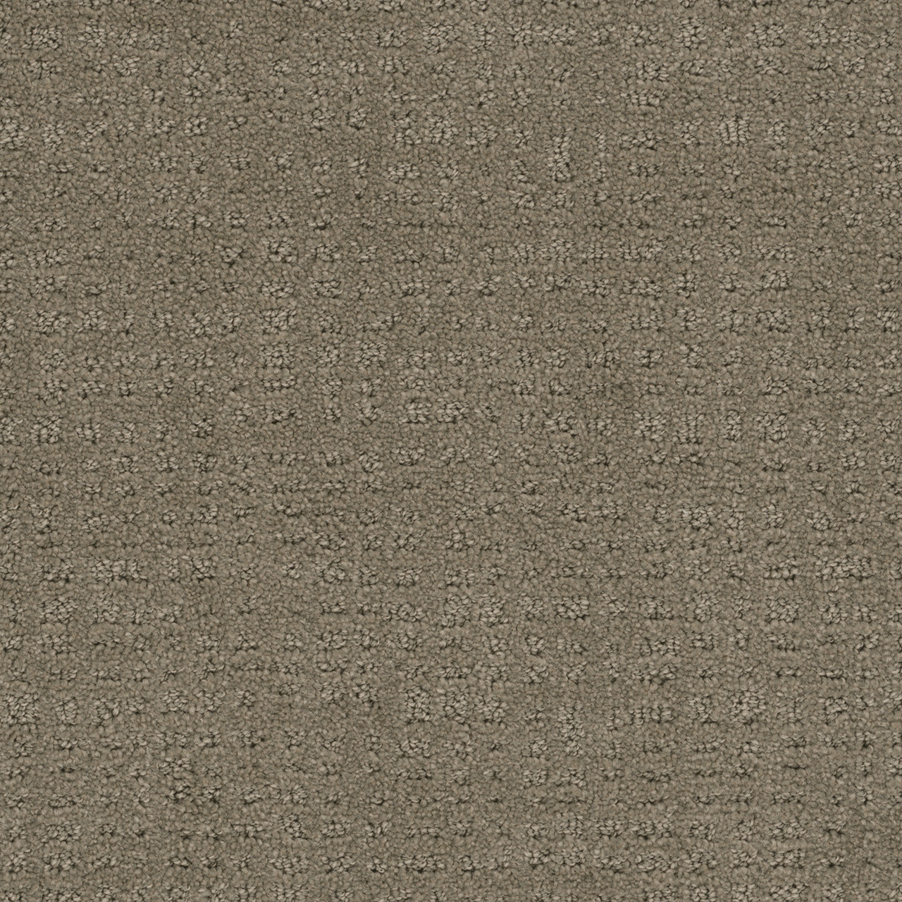 Dreamweaver Carpet Common Ground TOPAZ Carpet 2845_6410