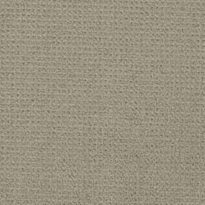 Dreamweaver Carpet Pinpoint Beach House Carpet 2870_6005