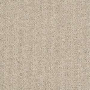 Dreamweaver Carpet Pinpoint Champagne Fizz Carpet 2870_6309