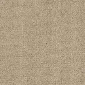 Dreamweaver Carpet Pinpoint Soft Pine Carpet 2870_6317