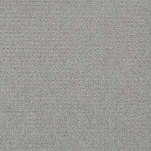 Dreamweaver Carpet Pinpoint Winter Sky Carpet 2870_6327