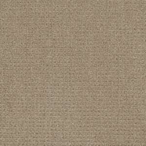 Dreamweaver Carpet Pinpoint Warm Sand Carpet 2870_6339